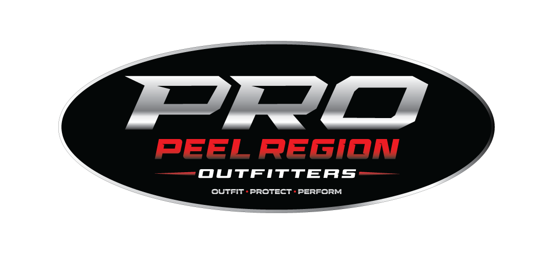 web UPLOAD PRO LOGO